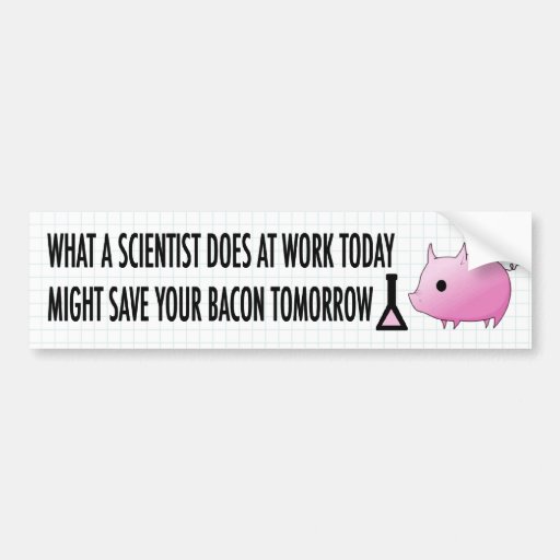 Save your Bacon Car Bumper Sticker Zazzle