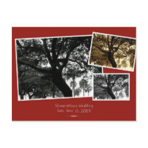SaveTheDate postcards by twilson63 SaveTheDate postcards