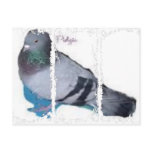 Saving the World One Pet At a Time postcards