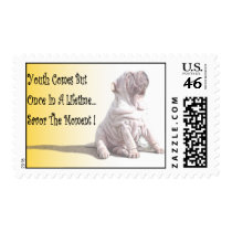 Savor The Moment Stamps