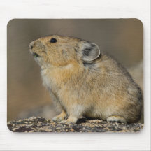 Savoring the Moment Mouse Pad