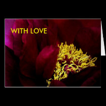 SAVOURING, WITH LOVE cards