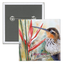 Saw-billed Hermit Hummingbird Pin