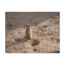 Saw this & thought of you! postcards by lewispoll Saw this & thought of you! postcards
