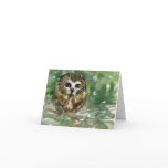 "Saw Whet Owl" Cards
