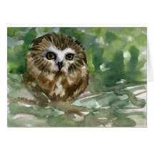 "Saw Whet Owl" Cards