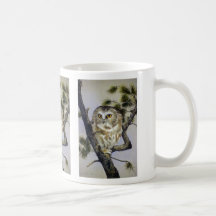 Saw-Whet Owl Coffee Mug