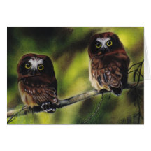 "Saw-Whet owl Fledgelings" card