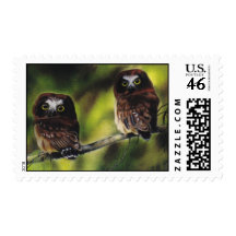 "Saw-Whet Owl Fledglings" stamp