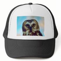 Saw-whet owl mesh hat