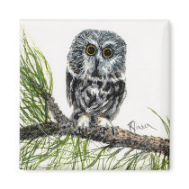 Saw Whet Owl Magnet