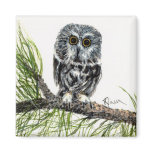 Saw Whet Owl Magnet
