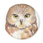Saw Whet Owl Magnet