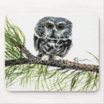 Saw Whet Owl Mouse Pad mousepads