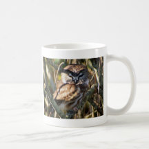 saw-whet owl mugs
