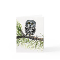 Saw Whet Owl Note Card