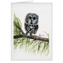 Saw Whet Owl Note/Greeting Card
