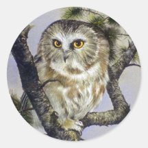 Saw-Whet Owl Round Stickers