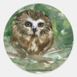 "Saw Whet Owl" stickers