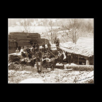 Sawmill postcards