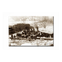 Sawmill posters