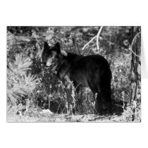 Sawtooth Pack Note Card cards