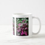 Saxifraga Highlander 2 Mugs