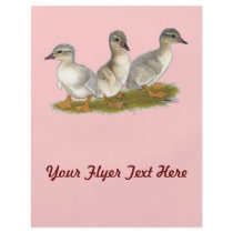 Saxony Ducklings Custom Flyer