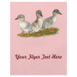 Saxony Ducklings Custom Flyer