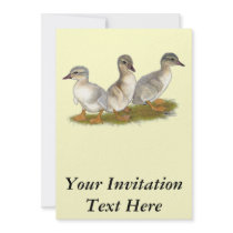 Saxony Ducklings Invites