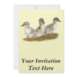 Saxony Ducklings Invites