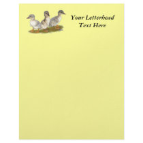 Saxony Ducklings Letterhead Design