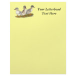 Saxony Ducklings Letterhead Design