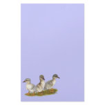 Saxony Ducklings Stationery Paper