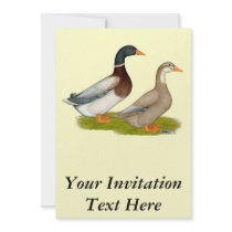 Saxony Ducks Custom Invites