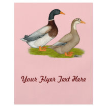 Saxony Ducks Full Color Flyer