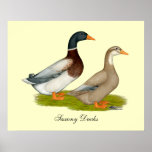 Saxony Ducks Posters