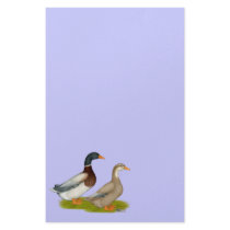 Saxony Ducks Stationery Paper