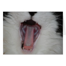 Say Ah!/Dentist Humor Greeting Cards