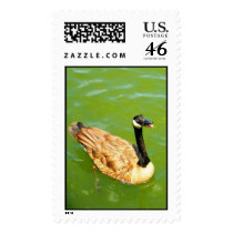 Say Ah! postage