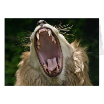 say ahhh cards