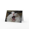 Say Ahhh cards