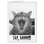 SAY, AHHHH!!! cards