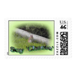 Say Cheese! Postage Stamps