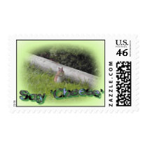 Say Cheese! postage