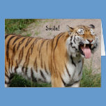 Say Cheese Tiger Card cards