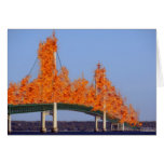 Say GoodBye & Mean It! Greeting Cards