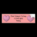 Say I Love You Bumper Sticker bumper stickers