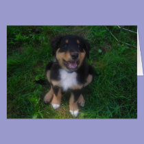 Say it with a Puppy Card cards