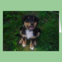Say it with a Puppy Card